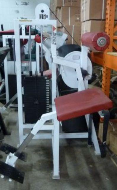 Seated Back Extension