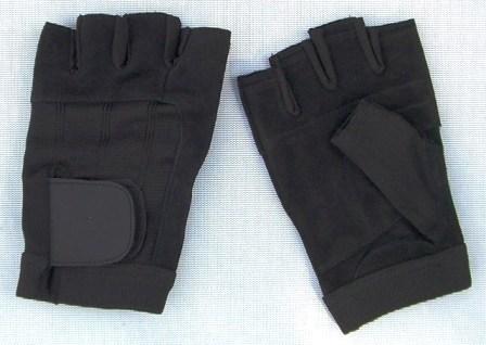 Lifting/Training Gloves
